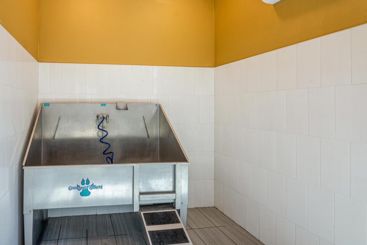 Luxe 3B/2B Getaway - Pool, Gym, Parking, Pet Wash Leander Exterior foto